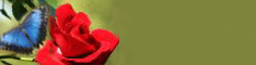 banner_127.png